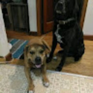 Meet your Posher, Clayton d.